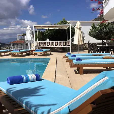 Paradise Villalari *